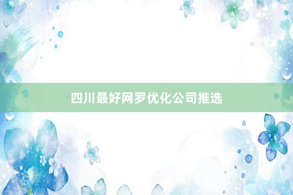 四川最好网罗优化公司推选