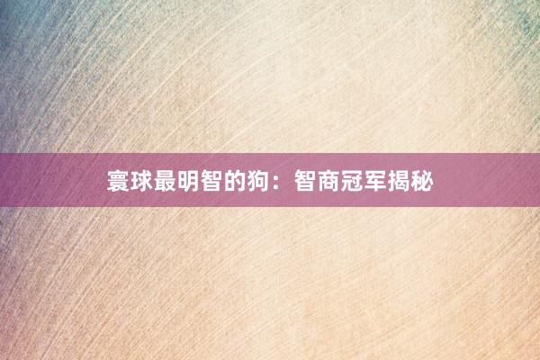 寰球最明智的狗：智商冠军揭秘